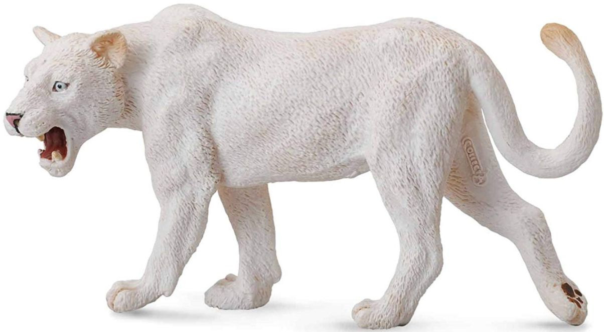 o966 ホワイトライオン・オブ・チャラス CollectA Wildlife - White Lioness #88549 - Roaring Pose