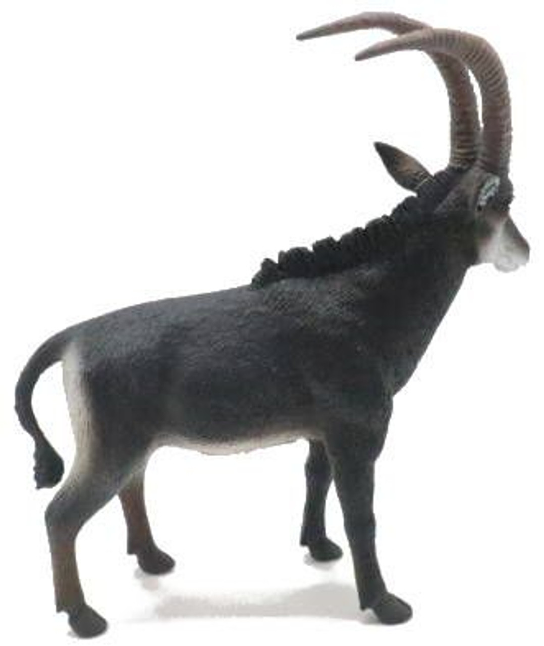Collcta オオアナコンダ d2ldlup COLLECTA Anaconda Toy Figure Authentic Hand Painted Model