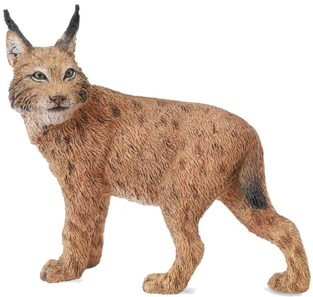 CollectA Lynx #88565 - Unique Head Turned, Listening Pose