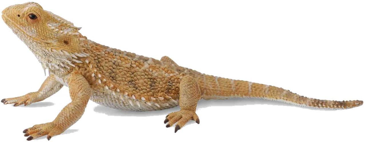 CollectA Bearded Dragon #88567 - Awesome Bumps and Thorns