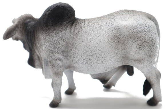 CollectA Brahman Bull #88579 - Nice Fleshy Neck and Hump