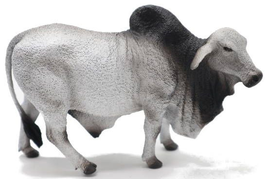 CollectA Brahman Bull #88579 - Nice Fleshy Neck and Hump