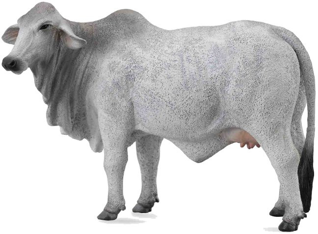 CollectA Brahman Cow #88580 - Nice Neck Waddle and Folds
