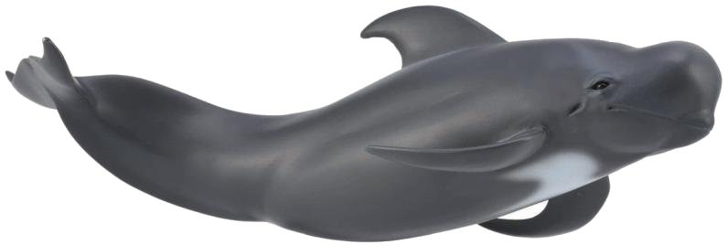 CollectA Sea Life - Pilot Whale #88613 - Whimsy Curved Model