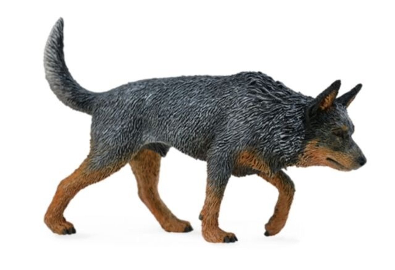 Australian Cattle Dog - 5 BEST Heeler Toys 