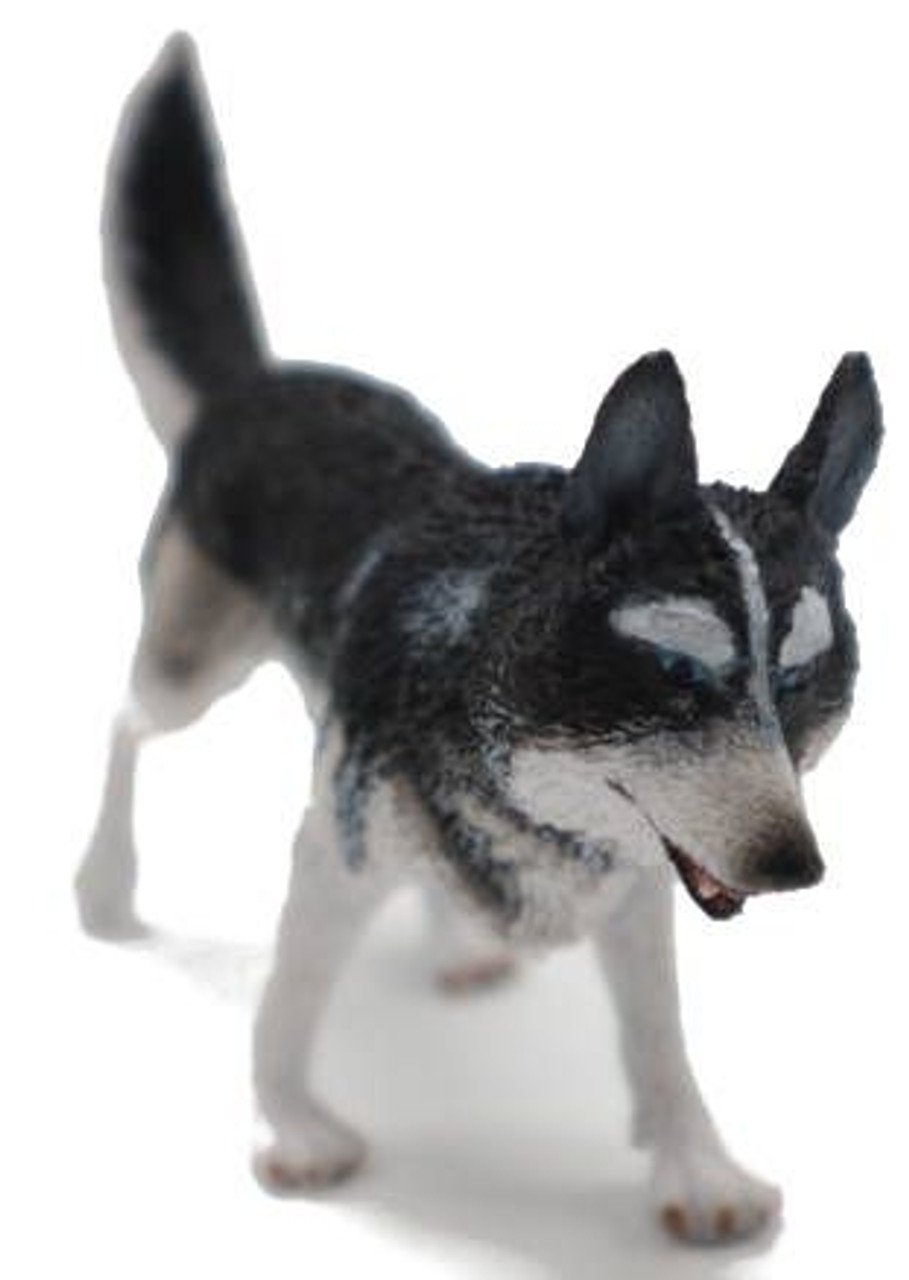 CollectA Siberian Husky #88707 - Bushy Coat - Blue Eyes