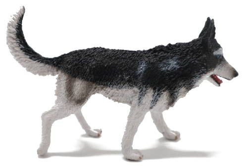CollectA Siberian Husky #88707 Bushy Coat Blue Eyes