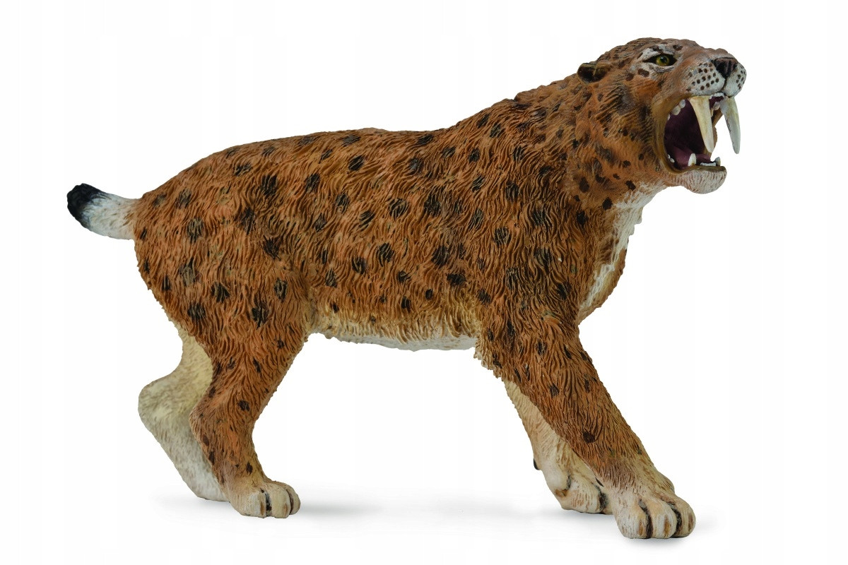 CollectA Smilodon #88715 - Rough fur - Head up and Roaring