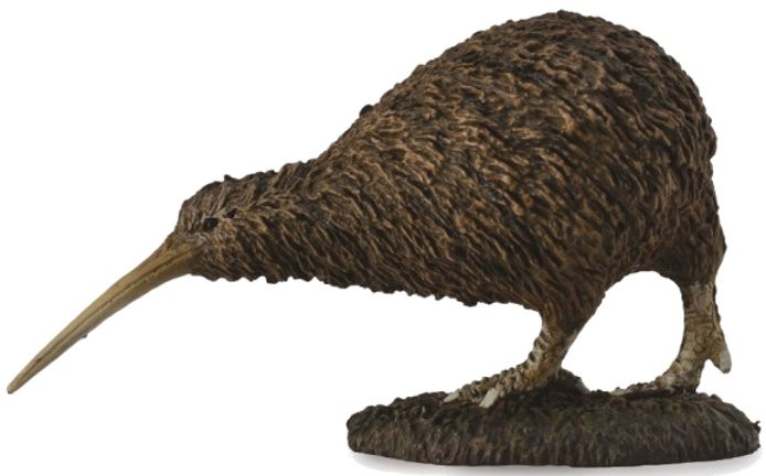 置物 kiwi CollectA Kiwi Bird #88731 - Head Down, Looking for Insects