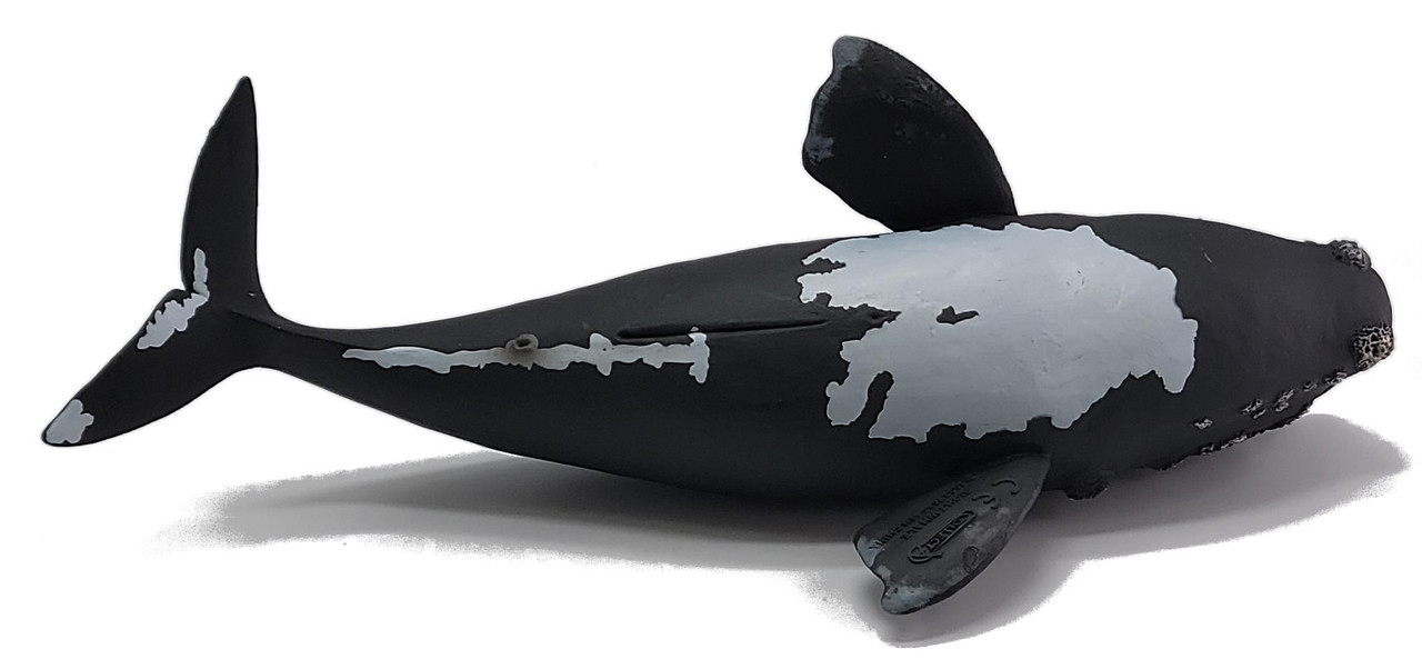 CollectA Sealife - Right Whale #88740 - Battle Scars