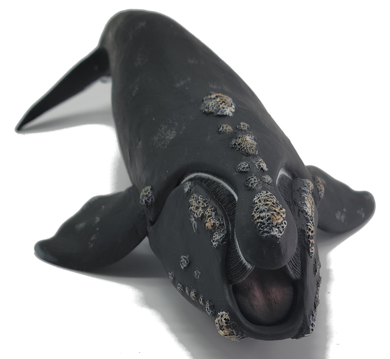 CollectA Sealife - Right Whale #88740 - Battle Scars