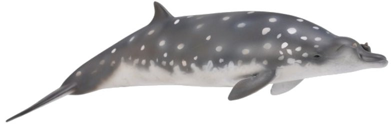 CollectA Blainvilles Beaked Whale #88761 - Sealife Figure