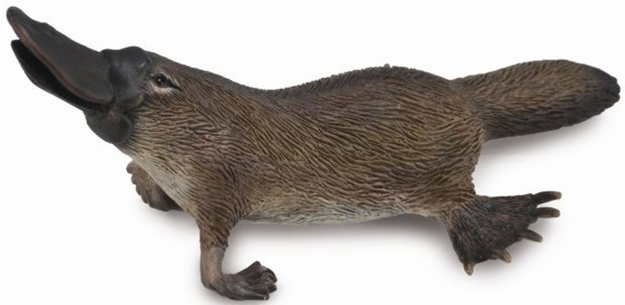 CollectA Platypus #88795 - Duck billed mammal model