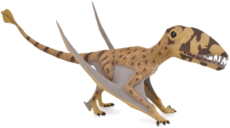 CollectA Dimorphodon #88798 GIANT Figure with Moveable Jaw - Main Image