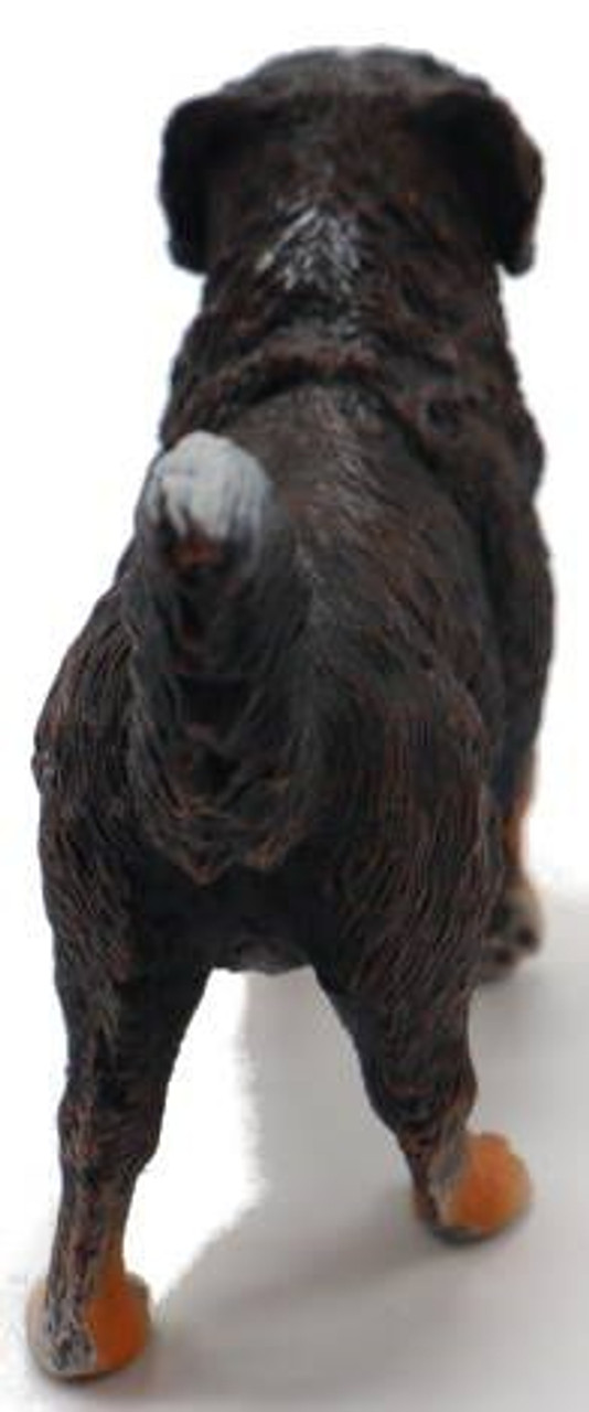 CollectA Bernese Mountain Dog #88801 - High Textured Coat