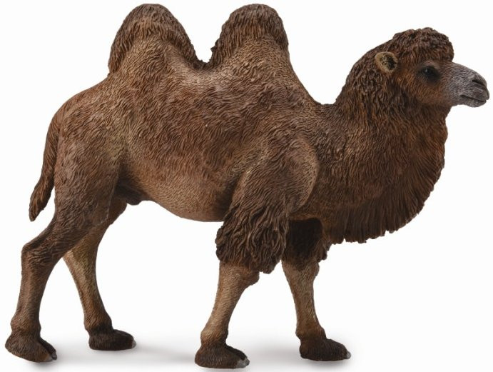 CollectA Bactrian Camel #88807 - Shaggy, Double Humped