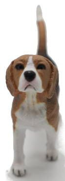 CollectA Dogs - Beagle #88935 - Cute Mans Best Friend
