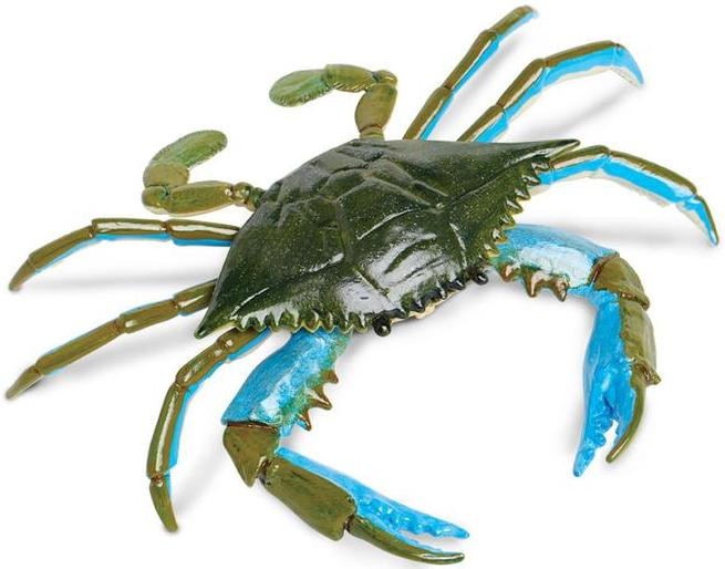 Safari Ltd. Sea Life Figures
