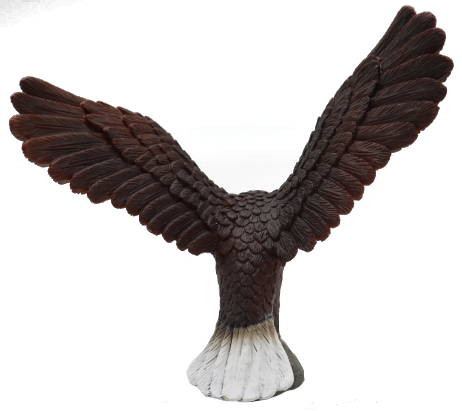 Aquila Collecta cod. 88383-4.1L x 3.5H