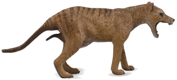 Collecta Tasmanischer Tiger (Thylacine) – Naturgetreue Spielzeugfigur, Handbemalt & Pädagogisch Wertvoll