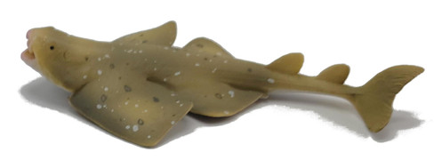 CollectA Angel Shark - Side View