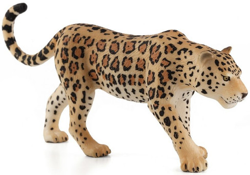 Leopard (Mojo)