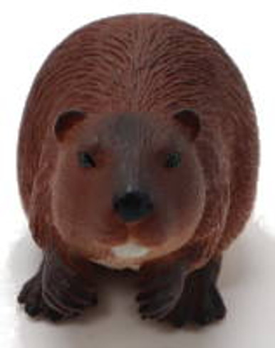 Beaver (Mojo)