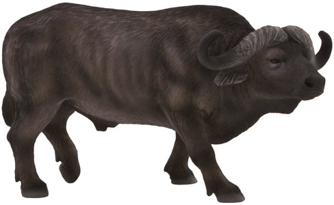 Buffalo - Cape (Mojo)