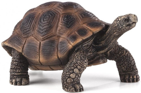 Schleich Giant Tortoise #14824 - Regal Old Turtle Figurine