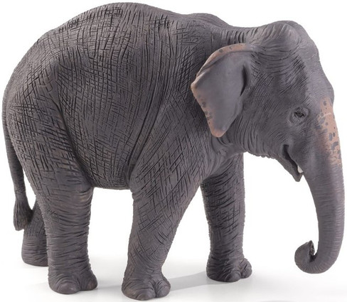 CollectA Wildlife - Asian Elephant #88486 - Raised Trunk