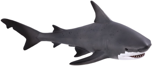 Shark - Bull (Mojo)