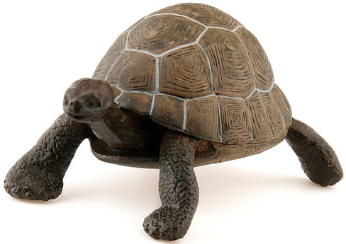 Turtle - Tortoise(Papo)