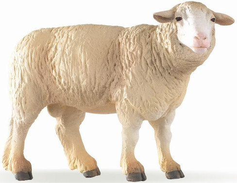 Sheep - Merino - Ram (Papo)