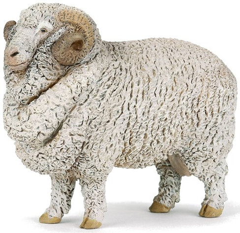 Sheep  - Merino Ram (Papo)