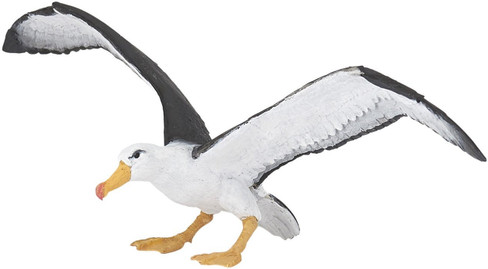albatross Safari Ltd. Wings Of The World 150729 - large albatros