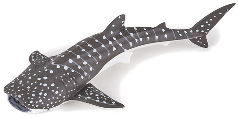 Whale Shark  - Juvenile (Papo)