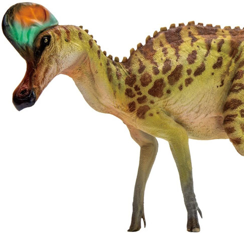 Corythosaurus - Caroline (PNSO)