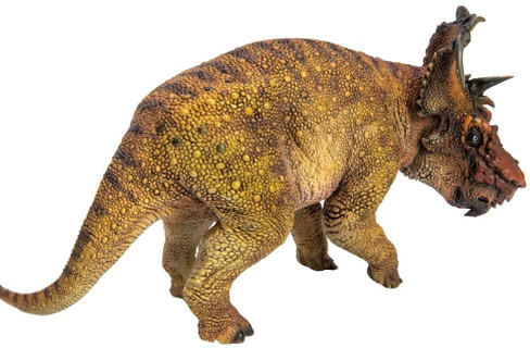 Pachyrhinosaurus - Brian (PNSO)