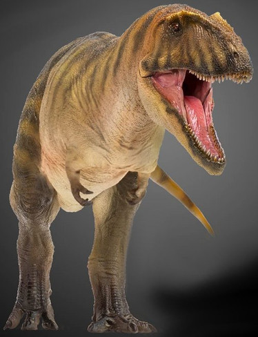 Carcharodontosaurus - Gamba (PNSO)