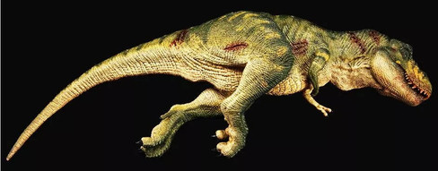 REBOR-Smilodon Stray Cat #160925 - Two interchangable heads