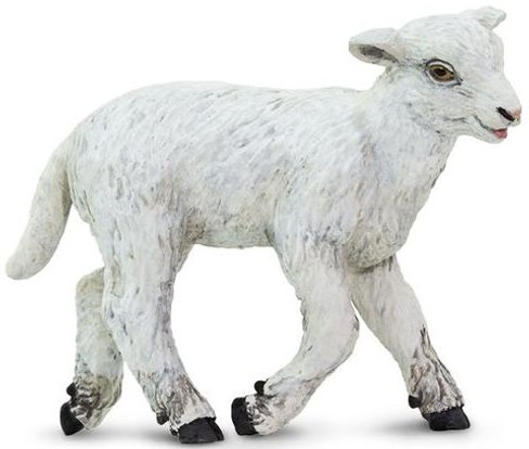 sheep 2023 All Canada Sheep Classic Sheep – Brien Sheep