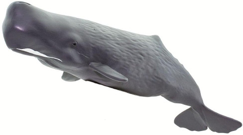 Whale - Sperm (Safari Ltd.)