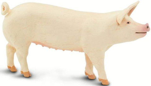 めい MIDDLE WEIGHT PADDED JACKET｜CONVERSE TOKYO (コンバース