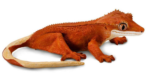 Lizard - Crested Gecko (Safari Ltd.)