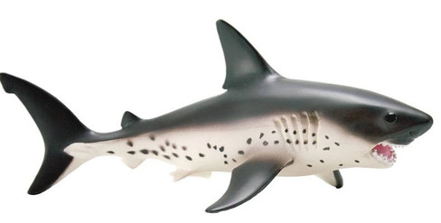 Safari Ltd. - Great White Shark #200729 - Apex Predator