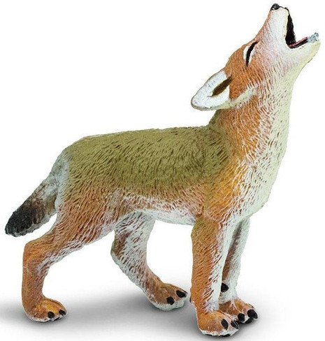 coyote 20冊まとめ売り Coyote Toy | Safari Ltd®