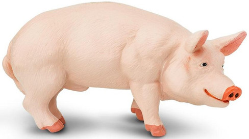 Safari Ltd. - Hampshire Pig #161829 - Two Tone Coloring