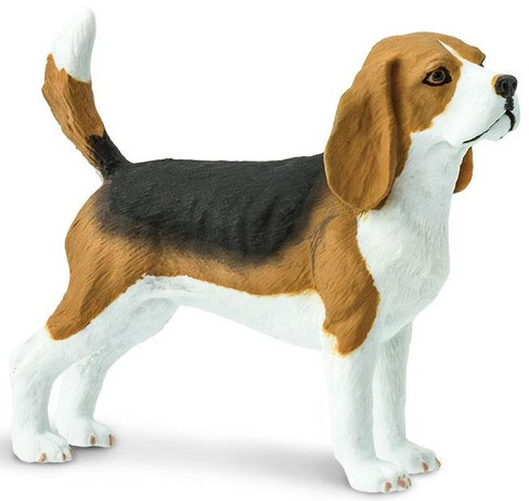 LeiNoa beagle 大きいサイズ CollectA Dogs - Beagle #88935 - Cute Mans Best Friend
