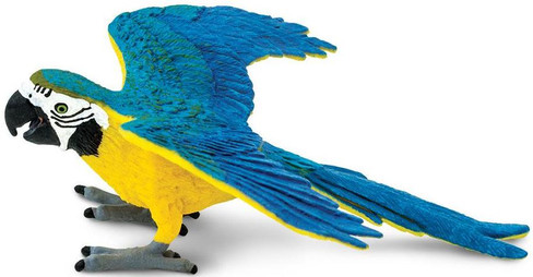 Macaw - Blue and Gold (Safari Ltd.)