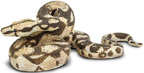 Snake - Boa Constrictor (Safari Ltd.)